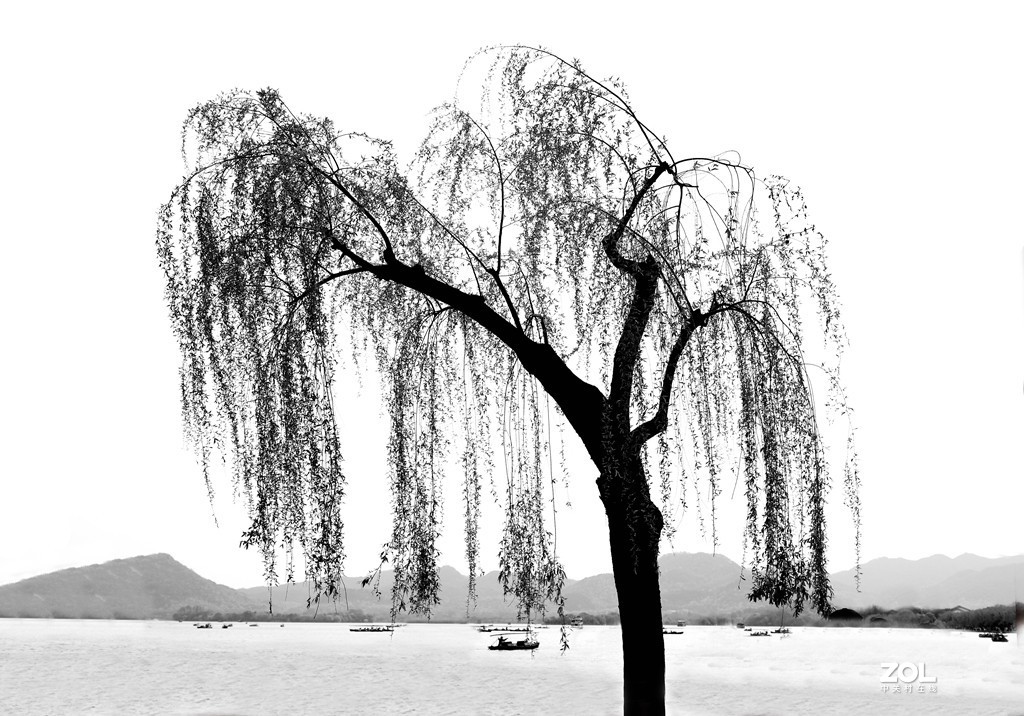 细雨蒙蒙别有景