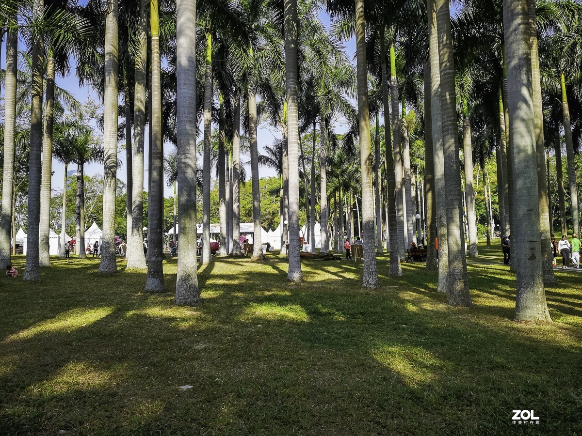 深圳蓮花山公園 ~ 掠影