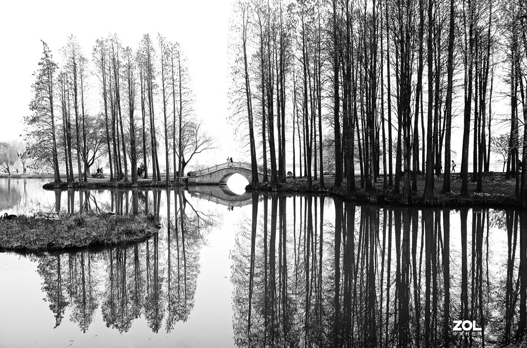 细雨蒙蒙别有景