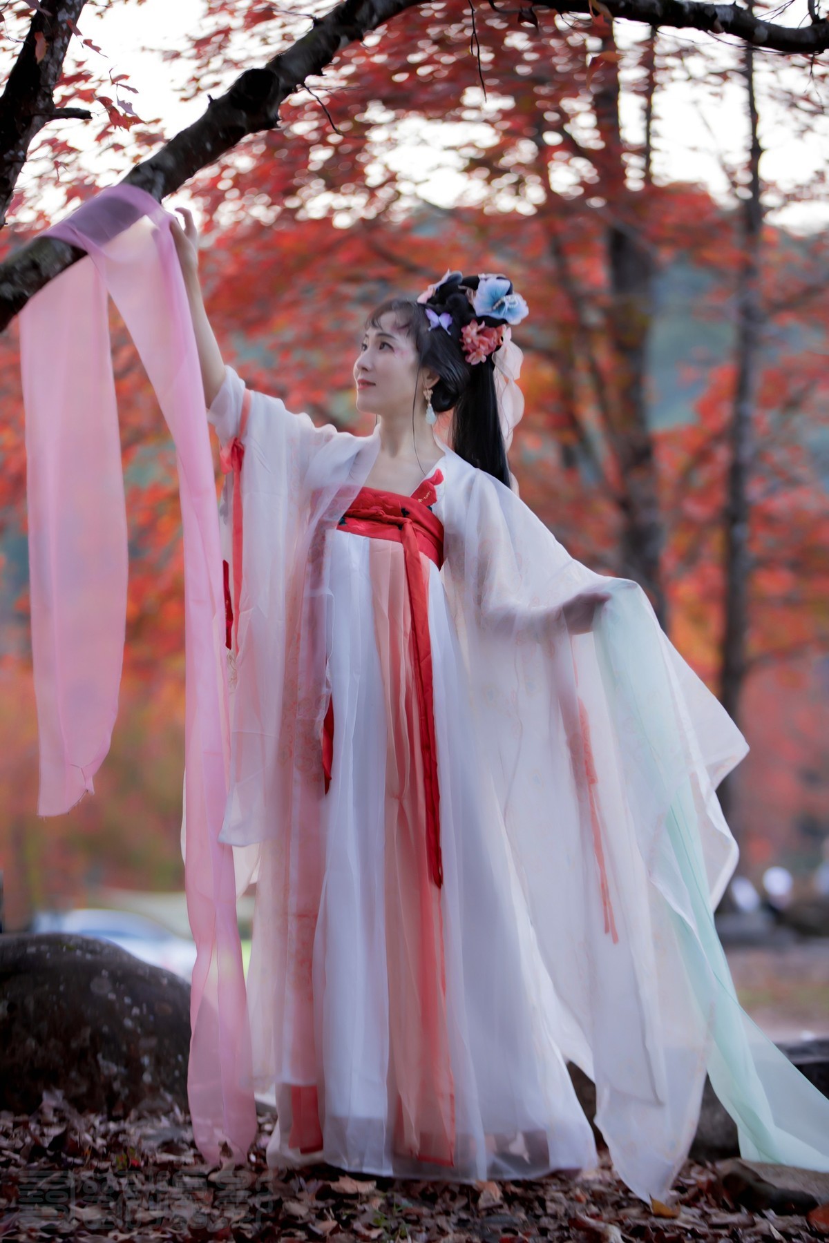 山间红叶好，霜重色欲浓