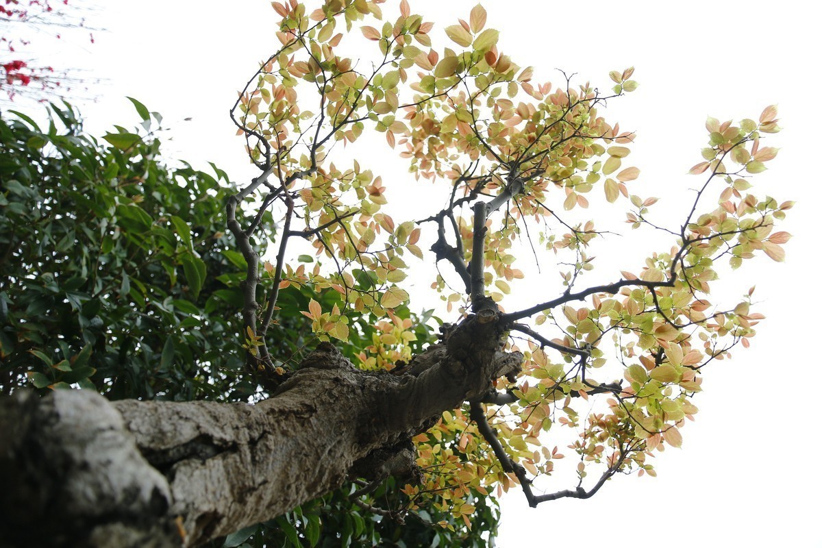 一组杂片，试试套头素质，请拍砖。