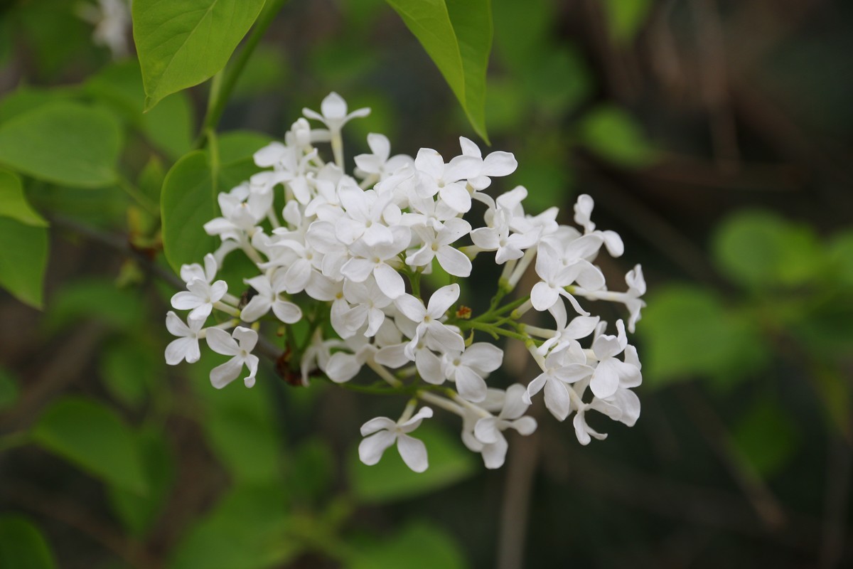 一组杂片，试试套头素质，请拍砖。