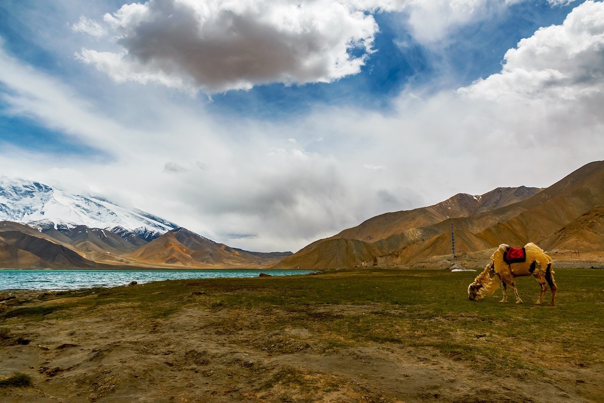 新疆是个好地方：探访高原秘境阿克陶 景美人更美_中国政务