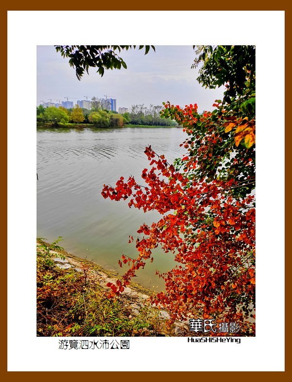 2021南行慢游018——游览泗水沛公园（江苏省徐州沛县）