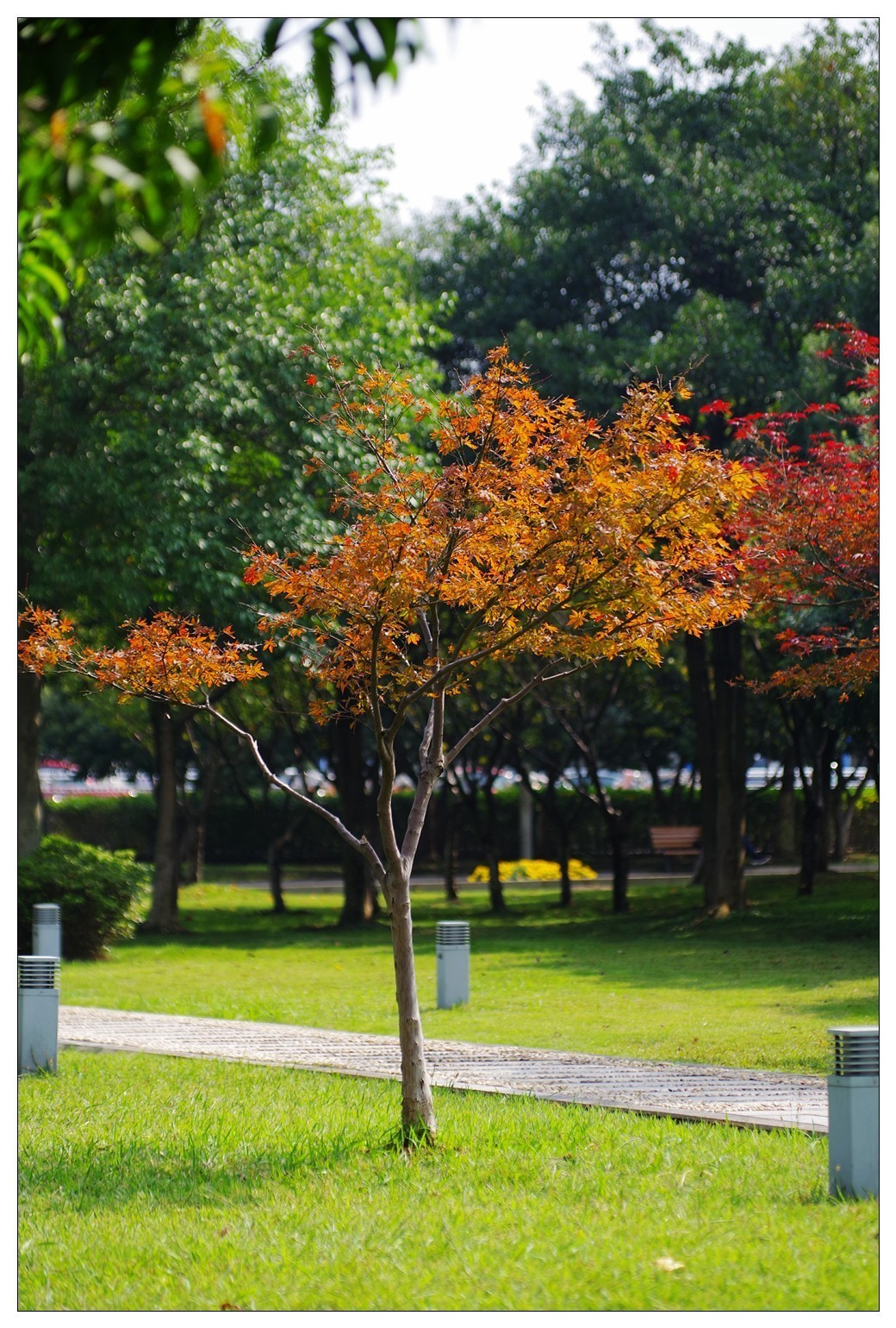 江苏省宜兴市10月份组织的电动冲浪板大赛 宾得K12拍摄