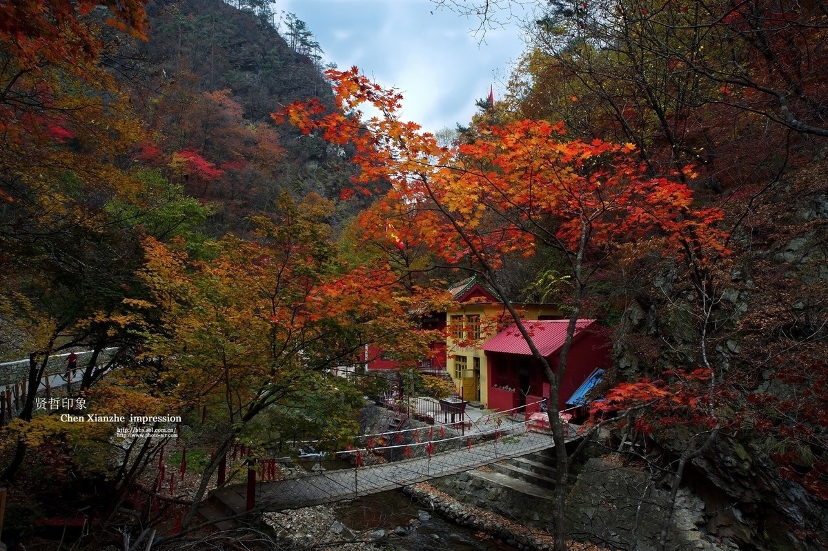 - - - - -   秋  の  影  韵  - - - - -