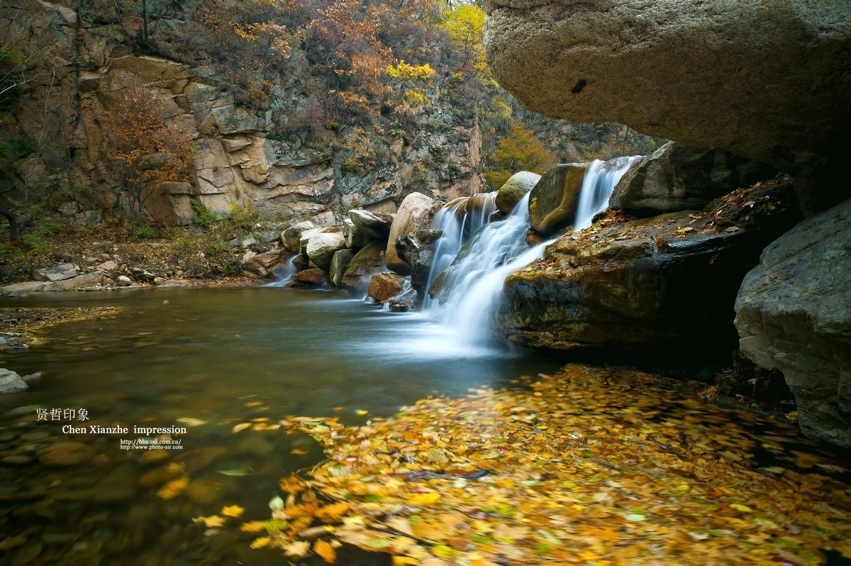 - - - - -   秋  の  影  韵  - - - - -