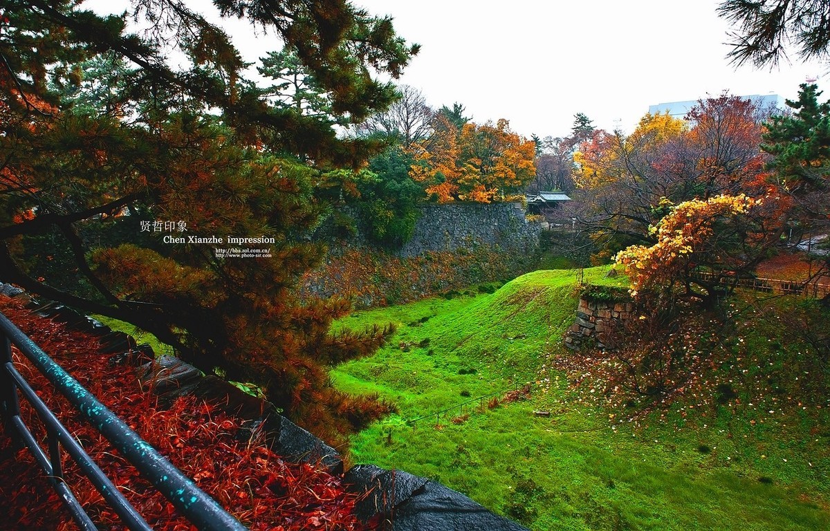 - - - - -   秋  の  影  韵  - - - - -