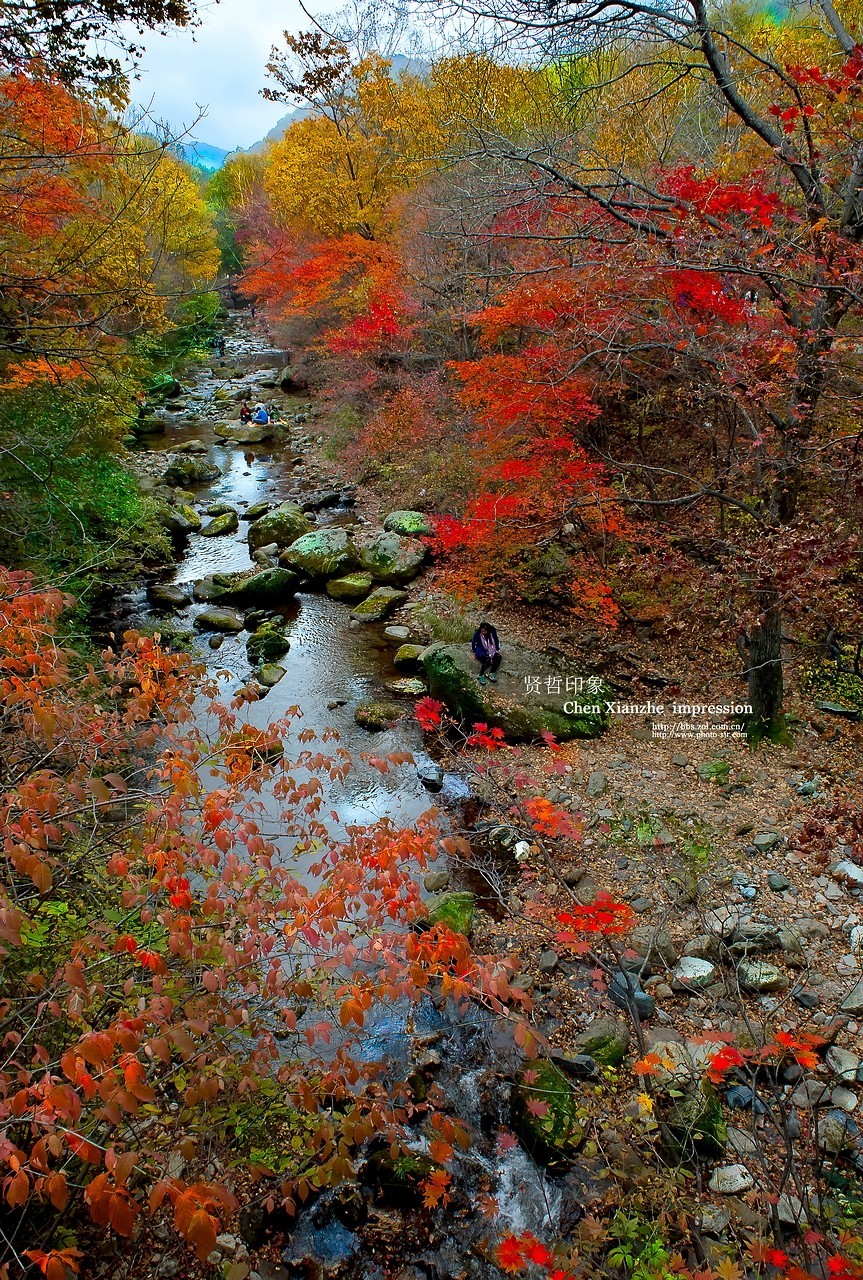 - - - - -   秋  の  影  韵  - - - - -