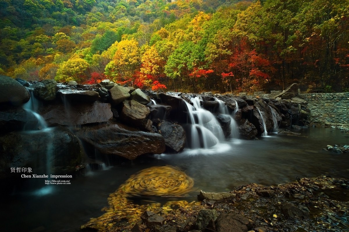 - - - - -   秋  の  影  韵  - - - - -