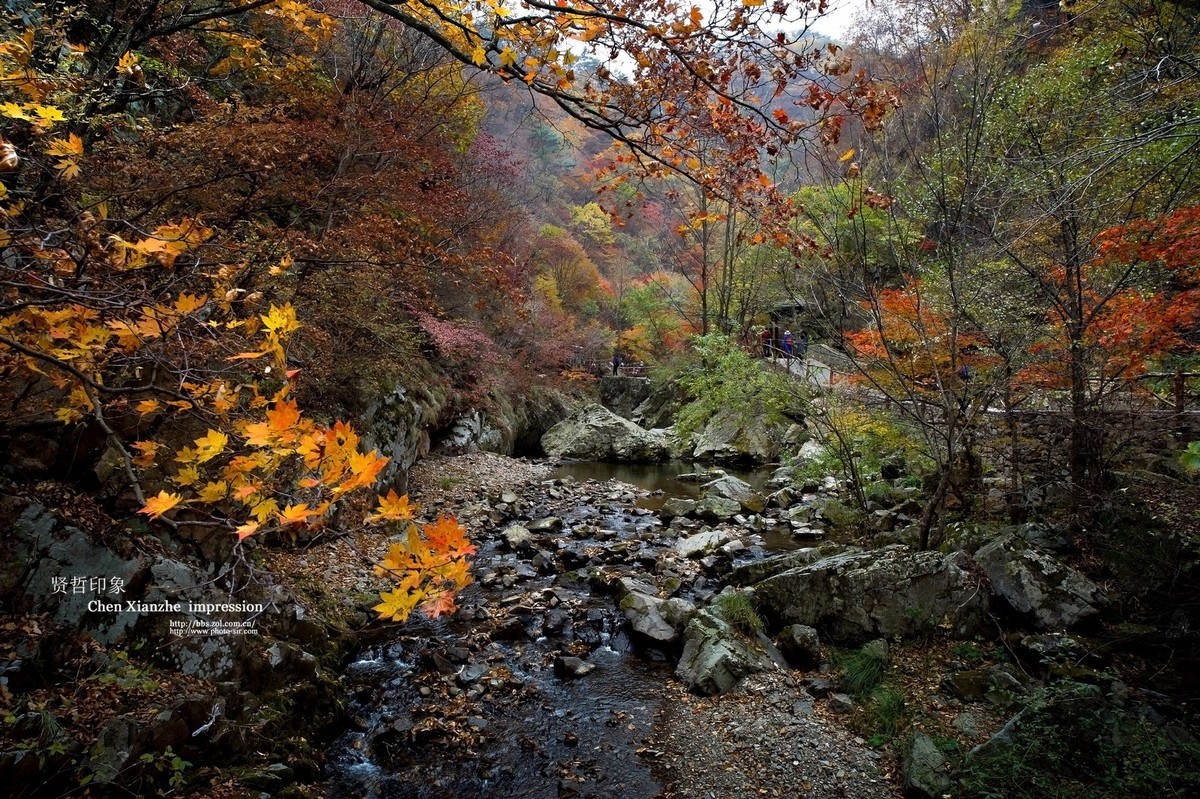 - - - - -   秋  の  影  韵  - - - - -