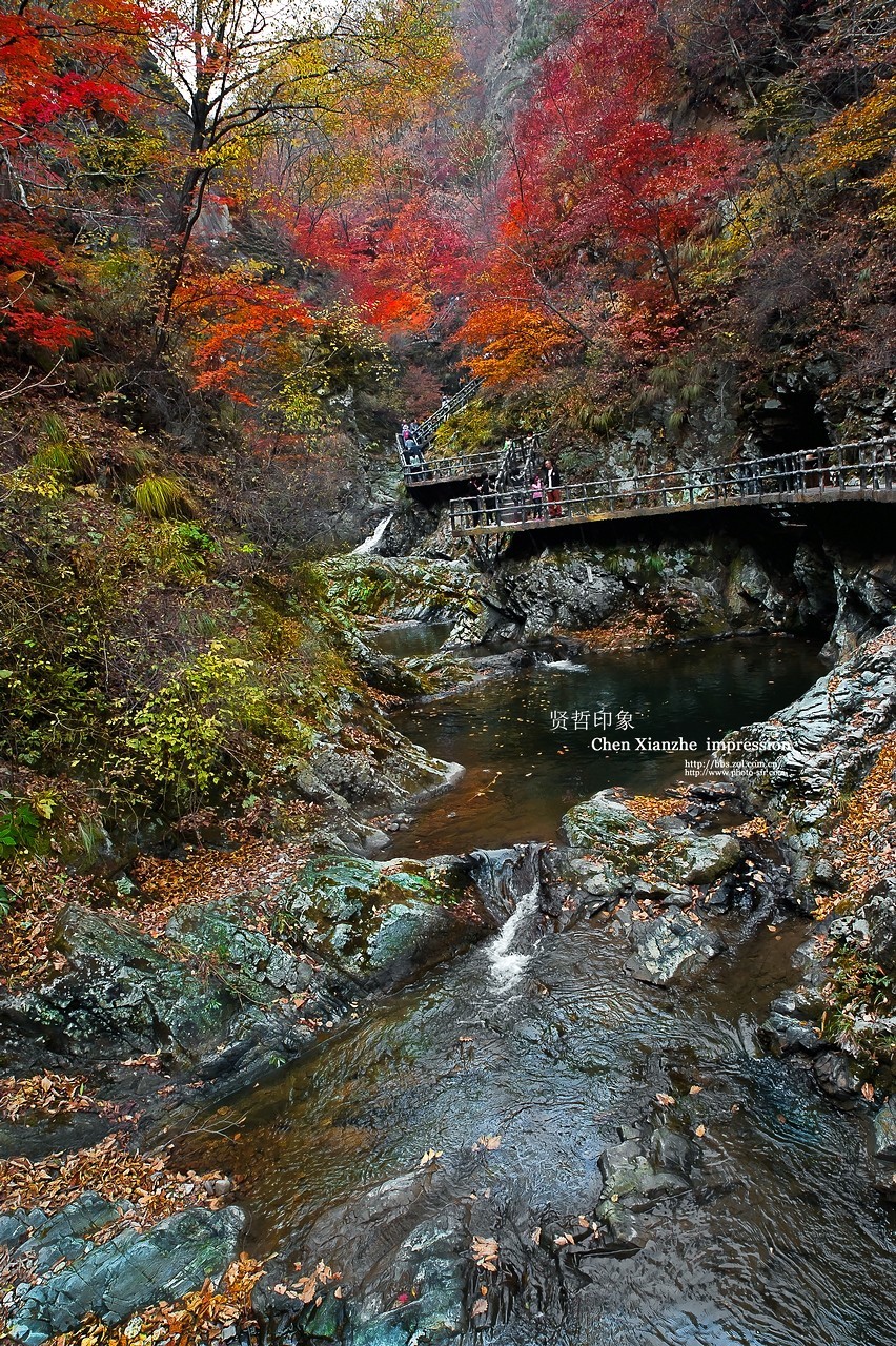 - - - - -   秋  の  影  韵  - - - - -