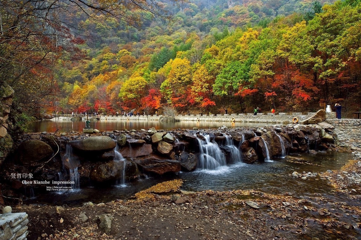 - - - - -   秋  の  影  韵  - - - - -