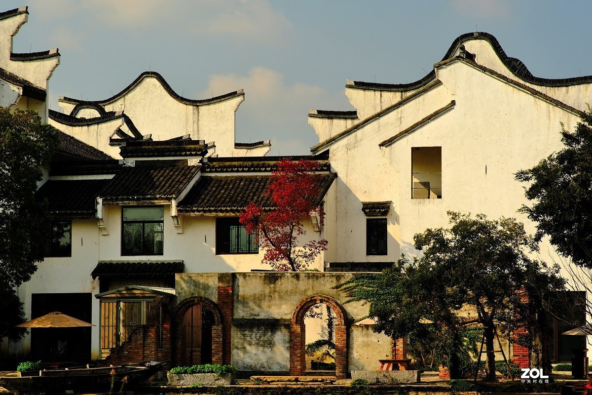 唯卓 仕镜头试用