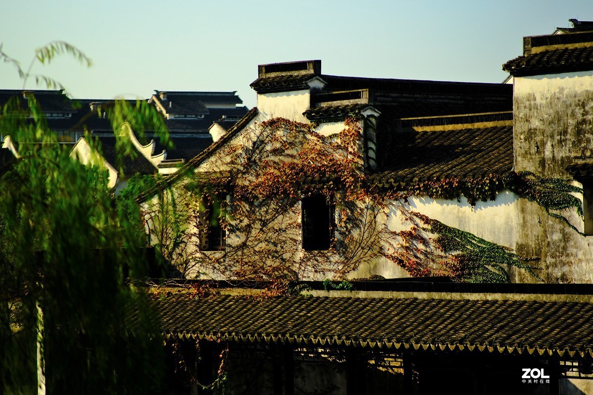 唯卓 仕镜头试用