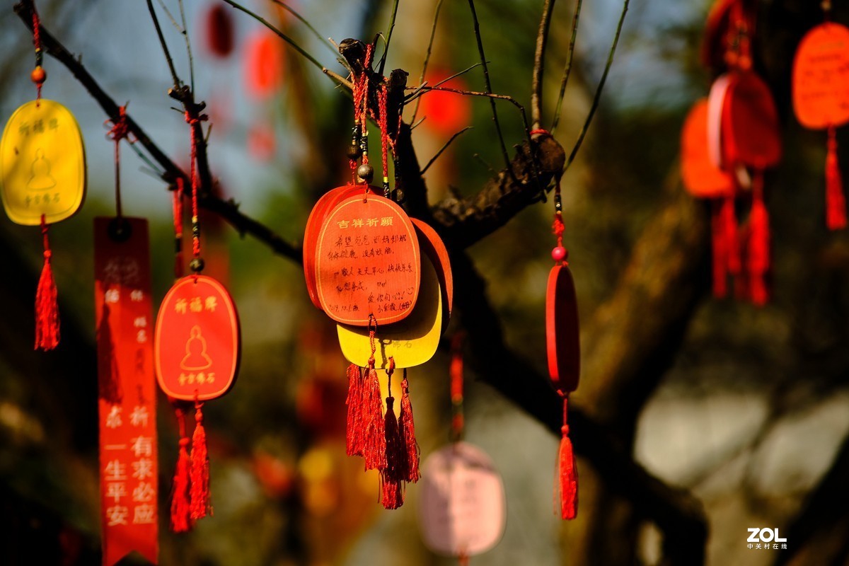 唯卓 仕镜头试用