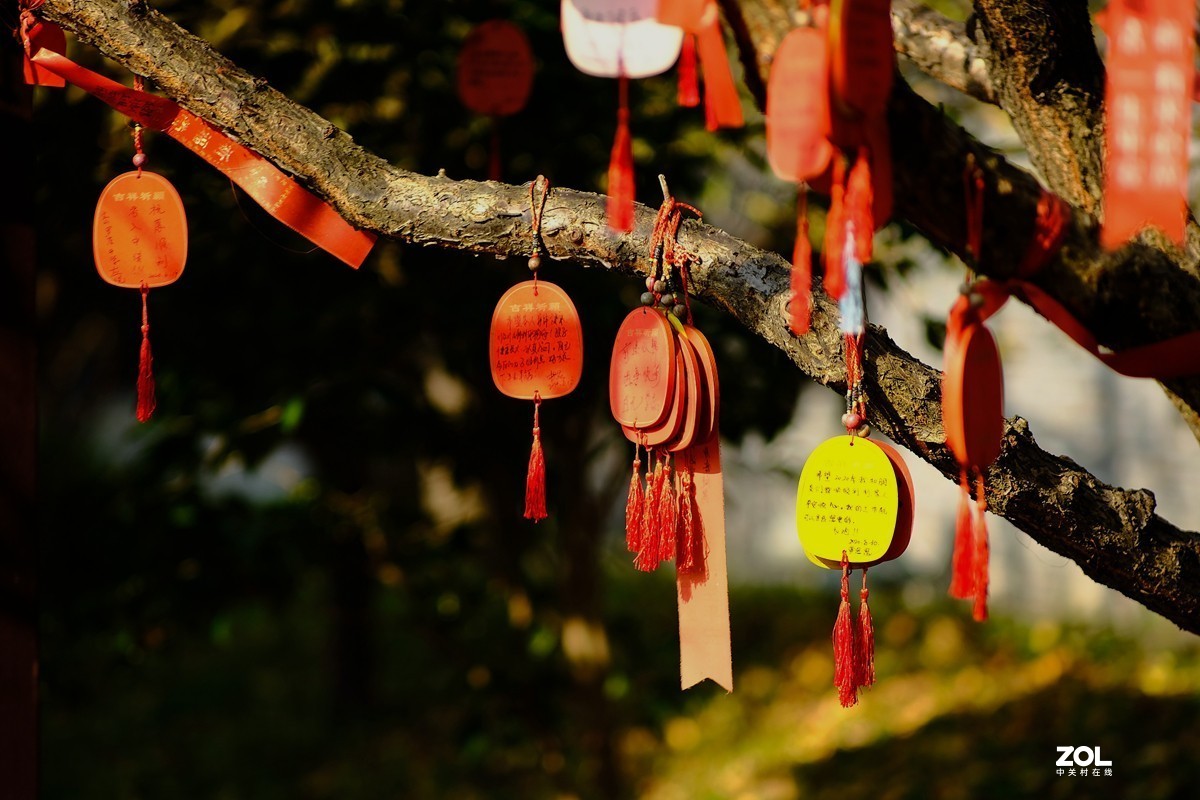 唯卓 仕镜头试用