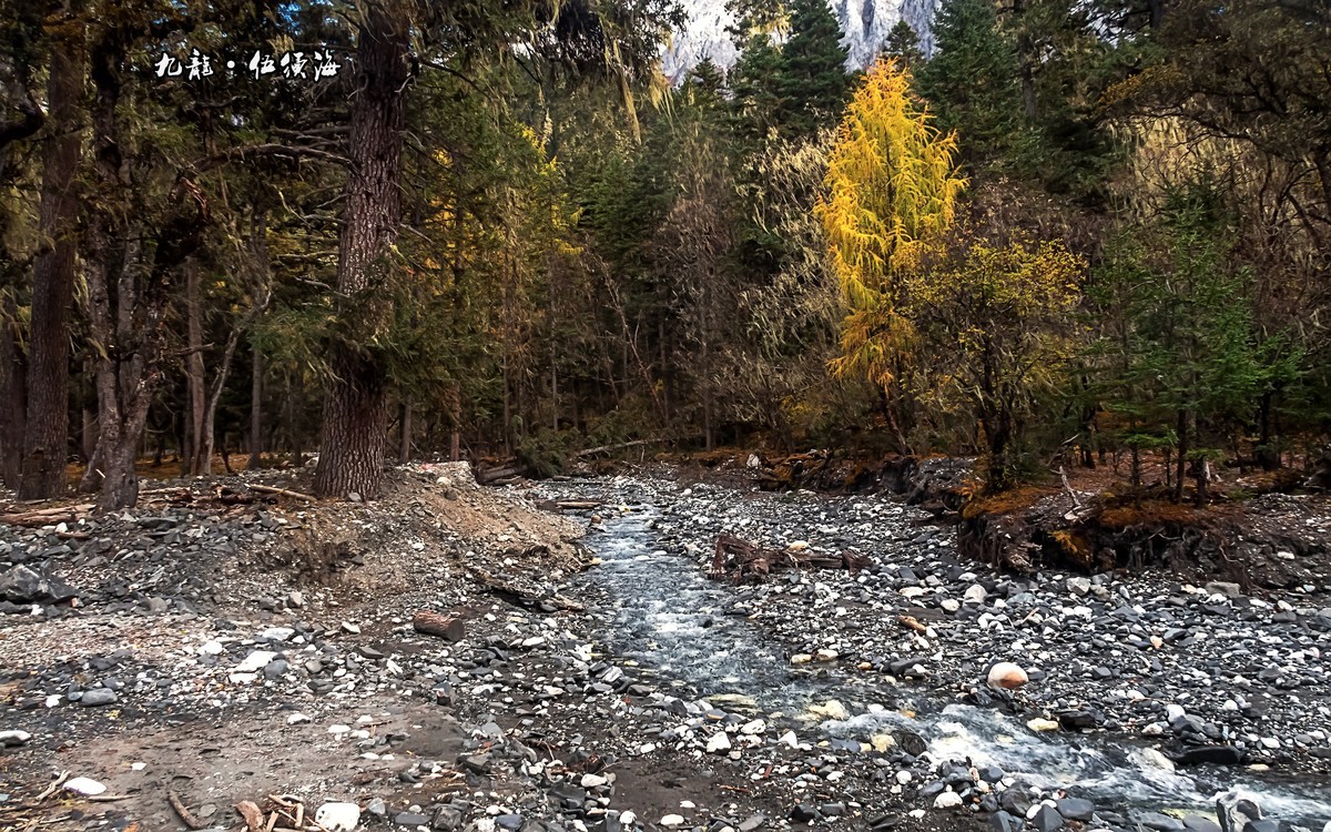 2019.10.川西风光随拍（之十一）九龙 · 伍须海