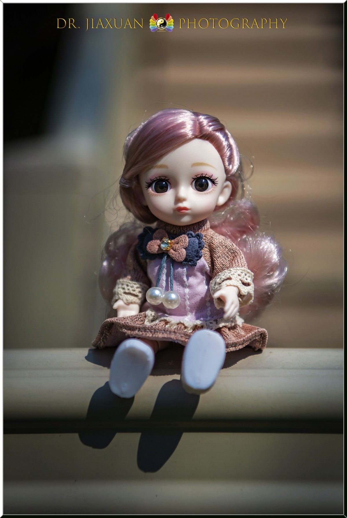 【稼轩摄影】玩偶之家-之三！