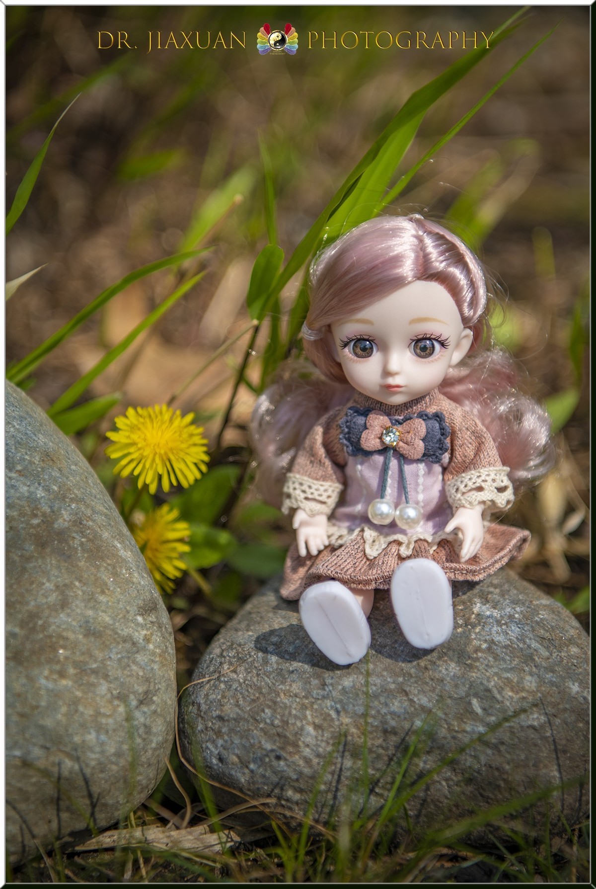 【稼轩摄影】玩偶之家-之三！