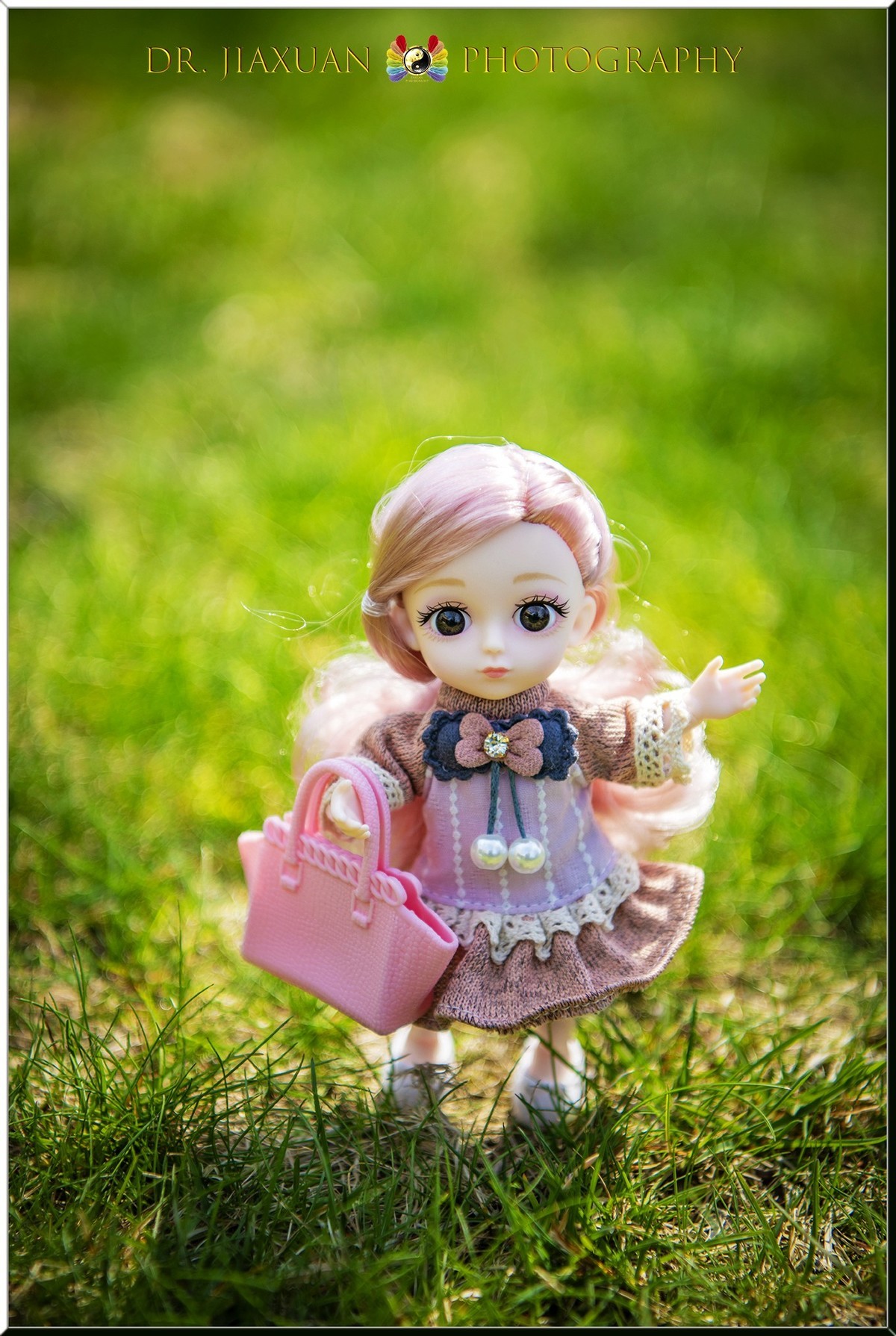 【稼轩摄影】玩偶之家-之三！