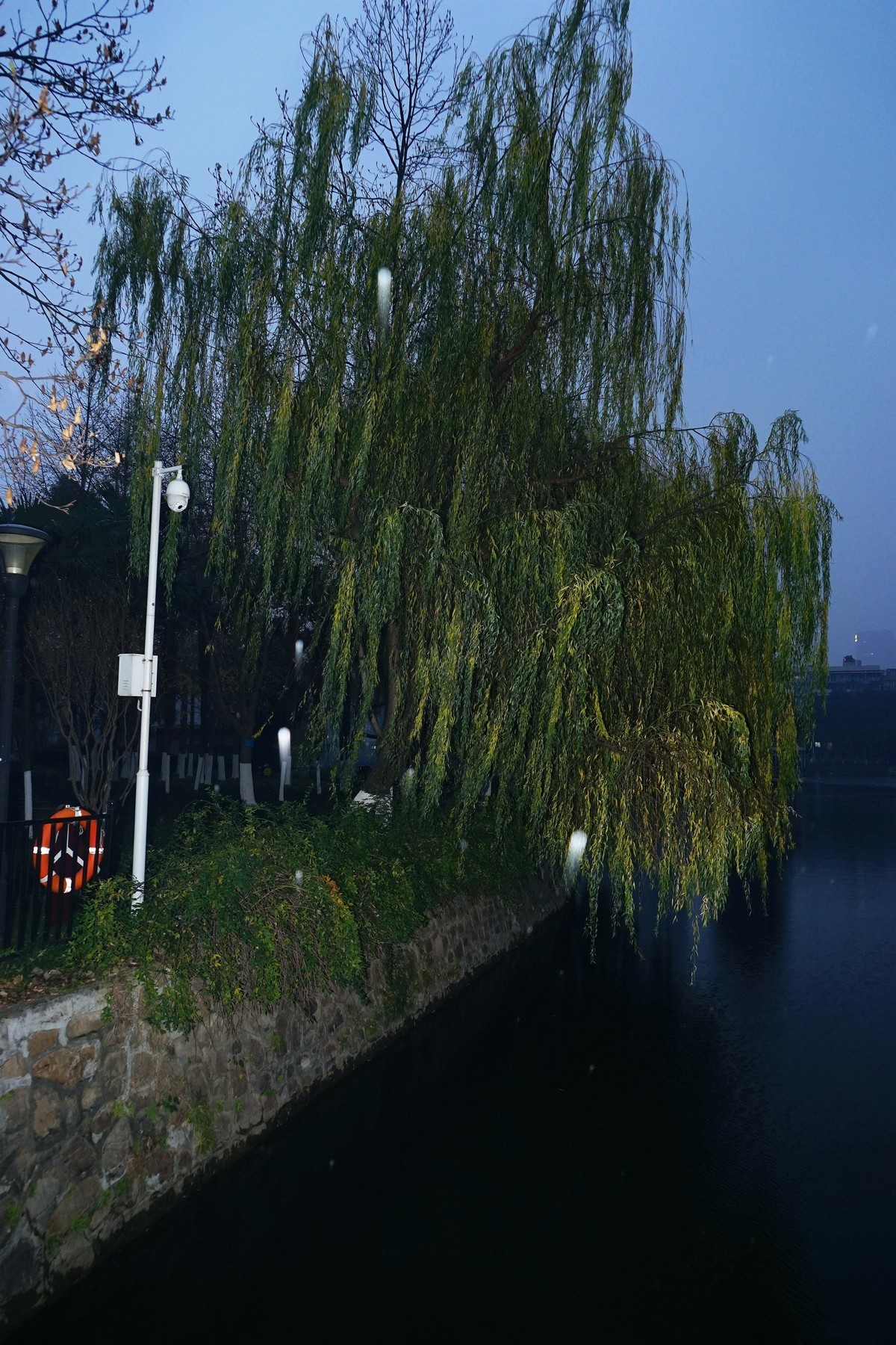 武汉印象---雨中的宝岛公园！