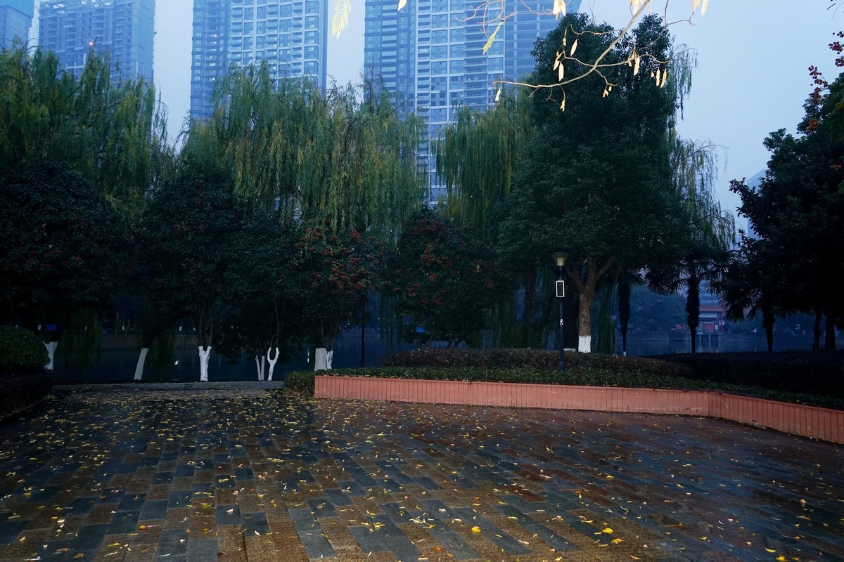 武汉印象---雨中的宝岛公园！