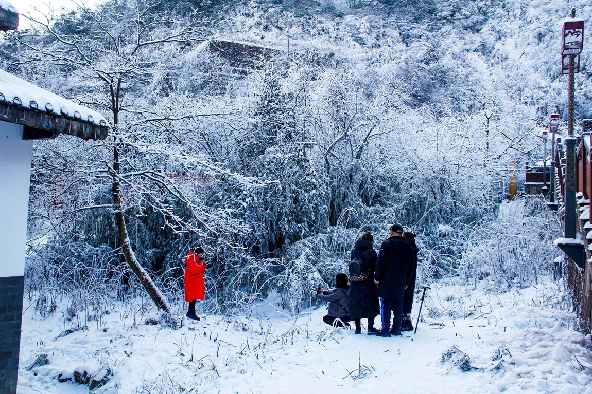四川洪雅---探雪瓦屋山【4】