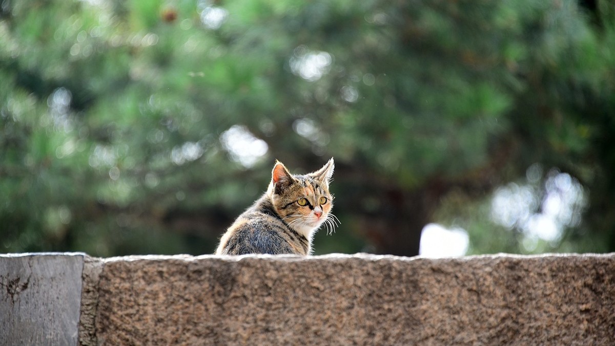大同印象之《北岳恒山》--神仙居住的地方