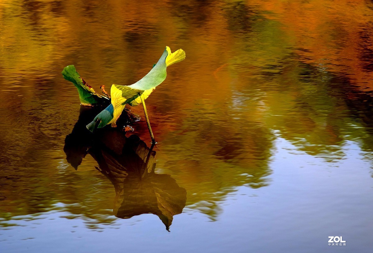 唯卓 仕镜头试用