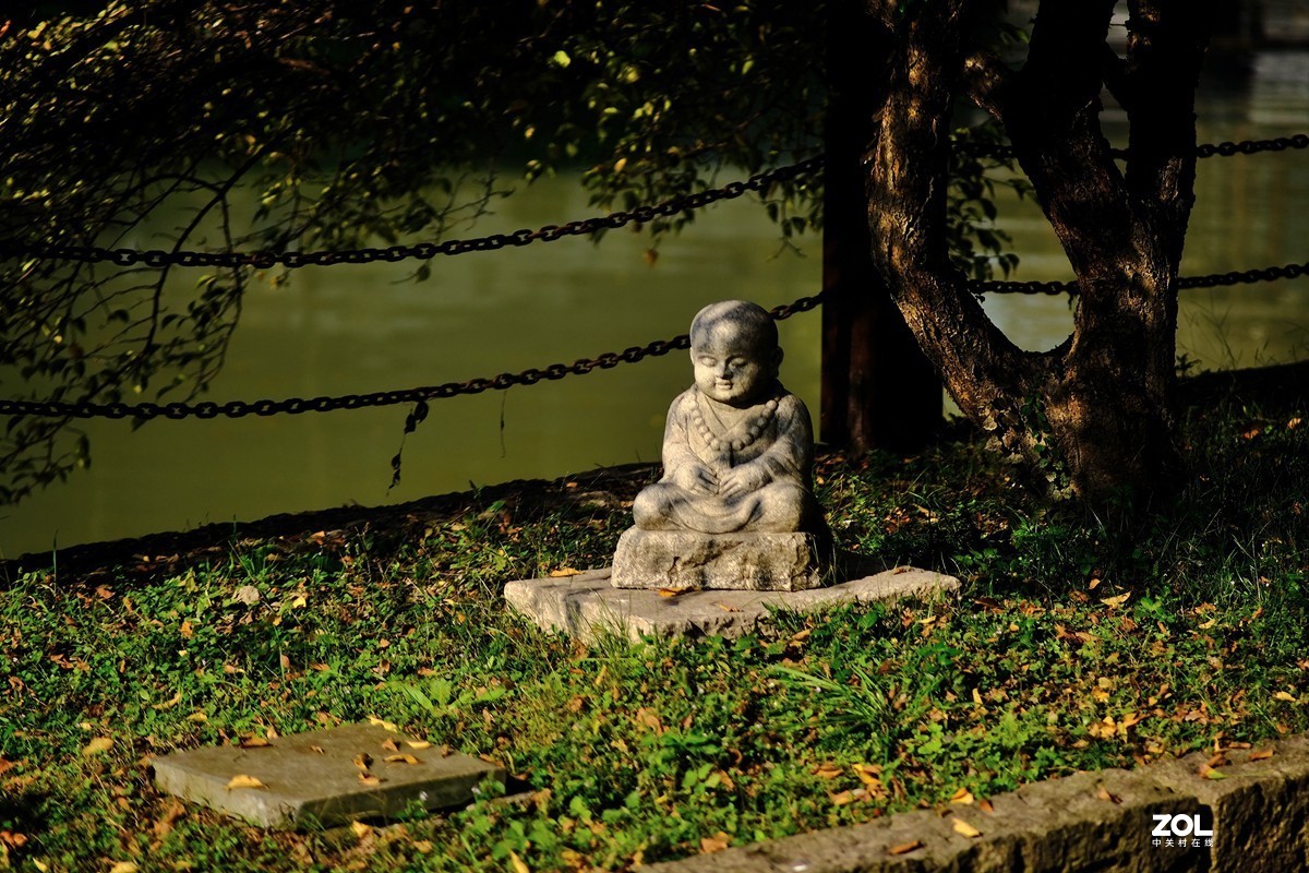 唯卓 仕镜头试用