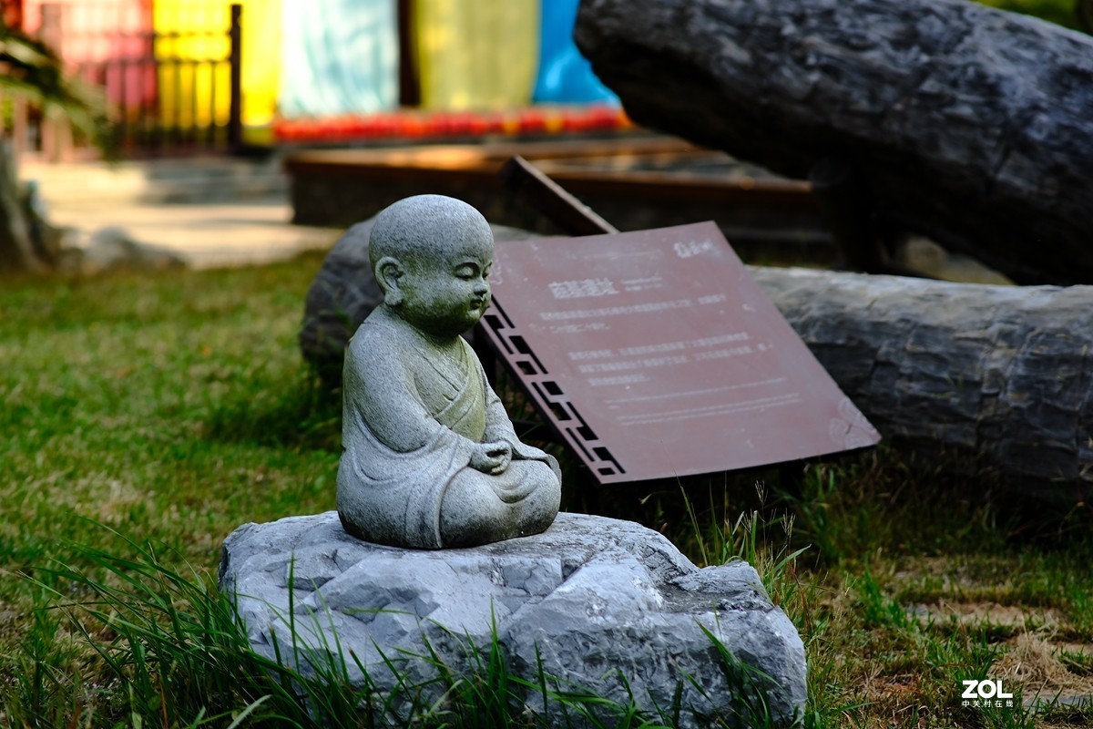 唯卓 仕镜头试用