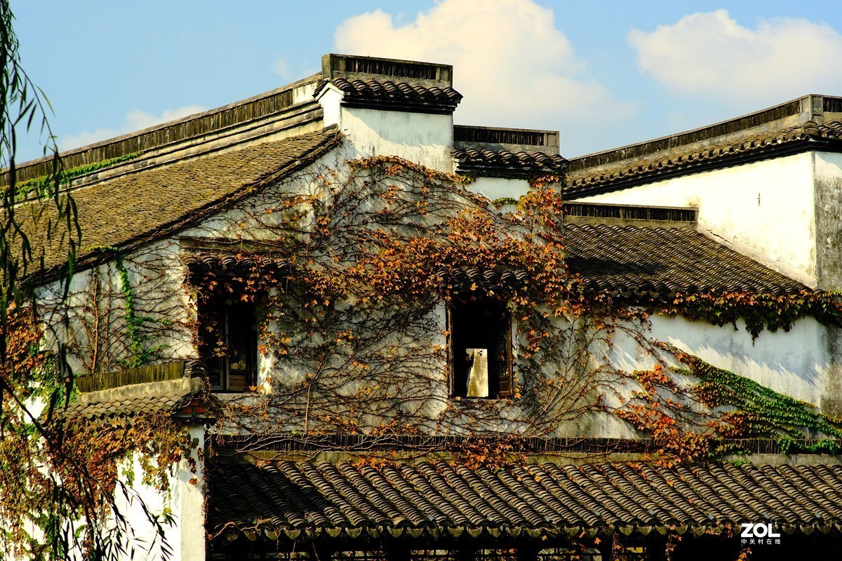 唯卓 仕镜头试用