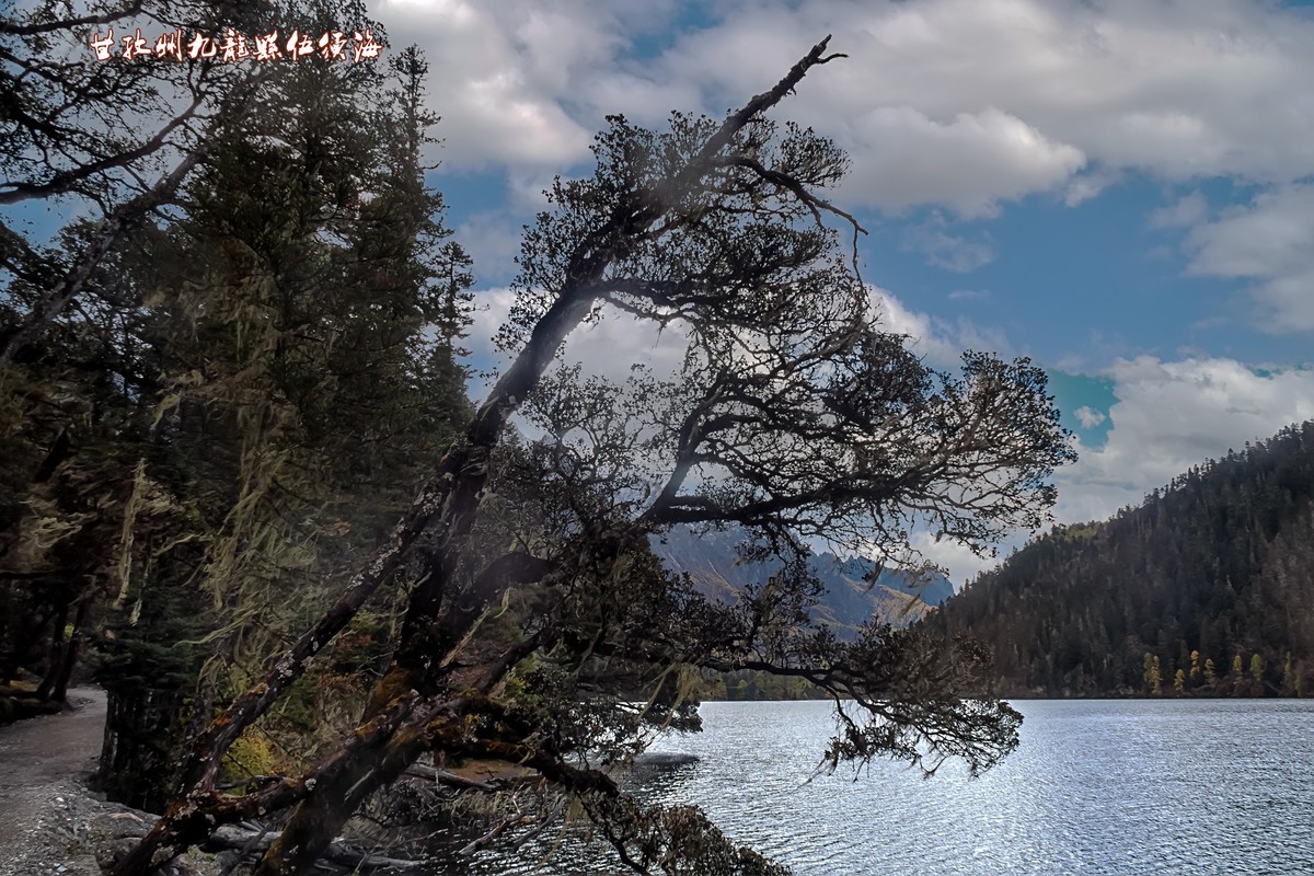 2019.10.川西风光随拍（之十一）九龙 · 伍须海