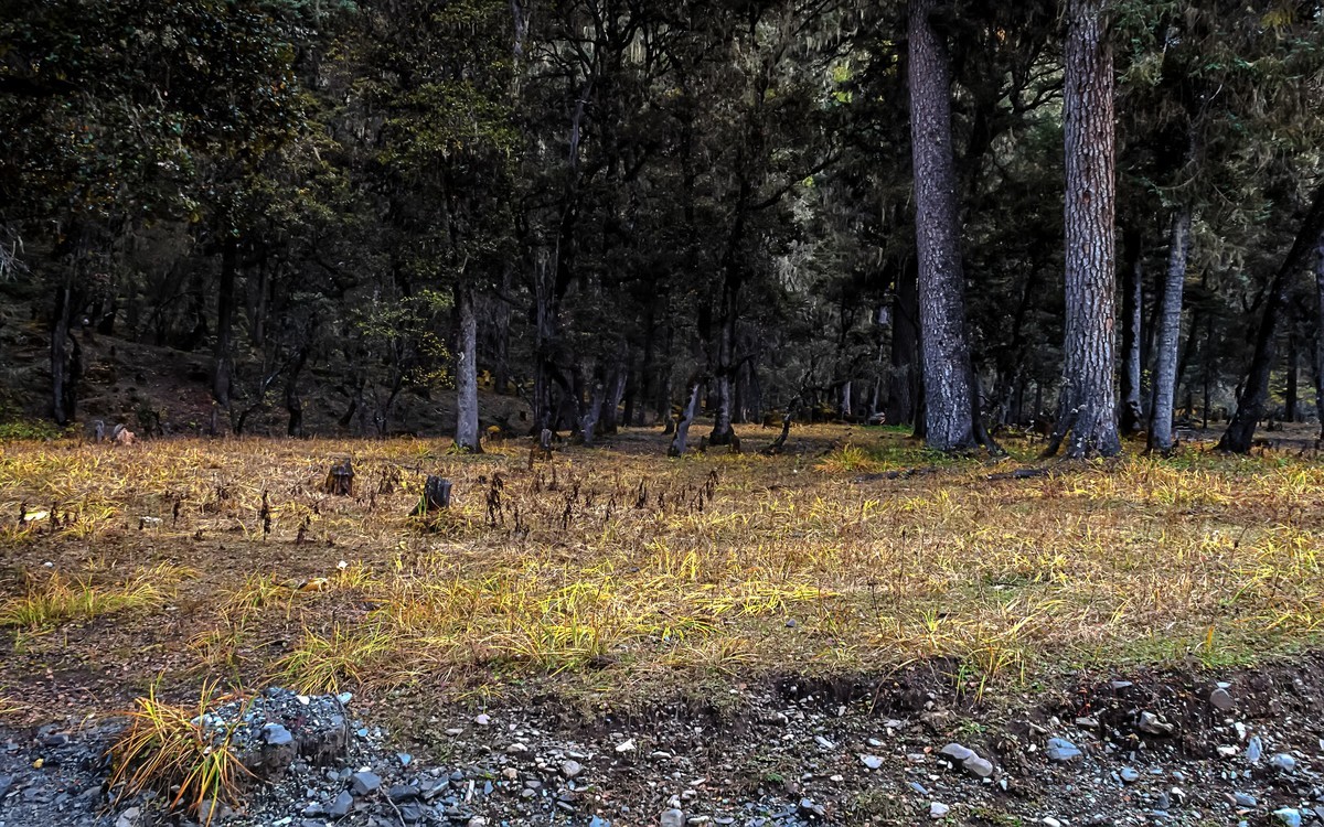 2019.10.川西风光随拍（之十一）九龙 · 伍须海