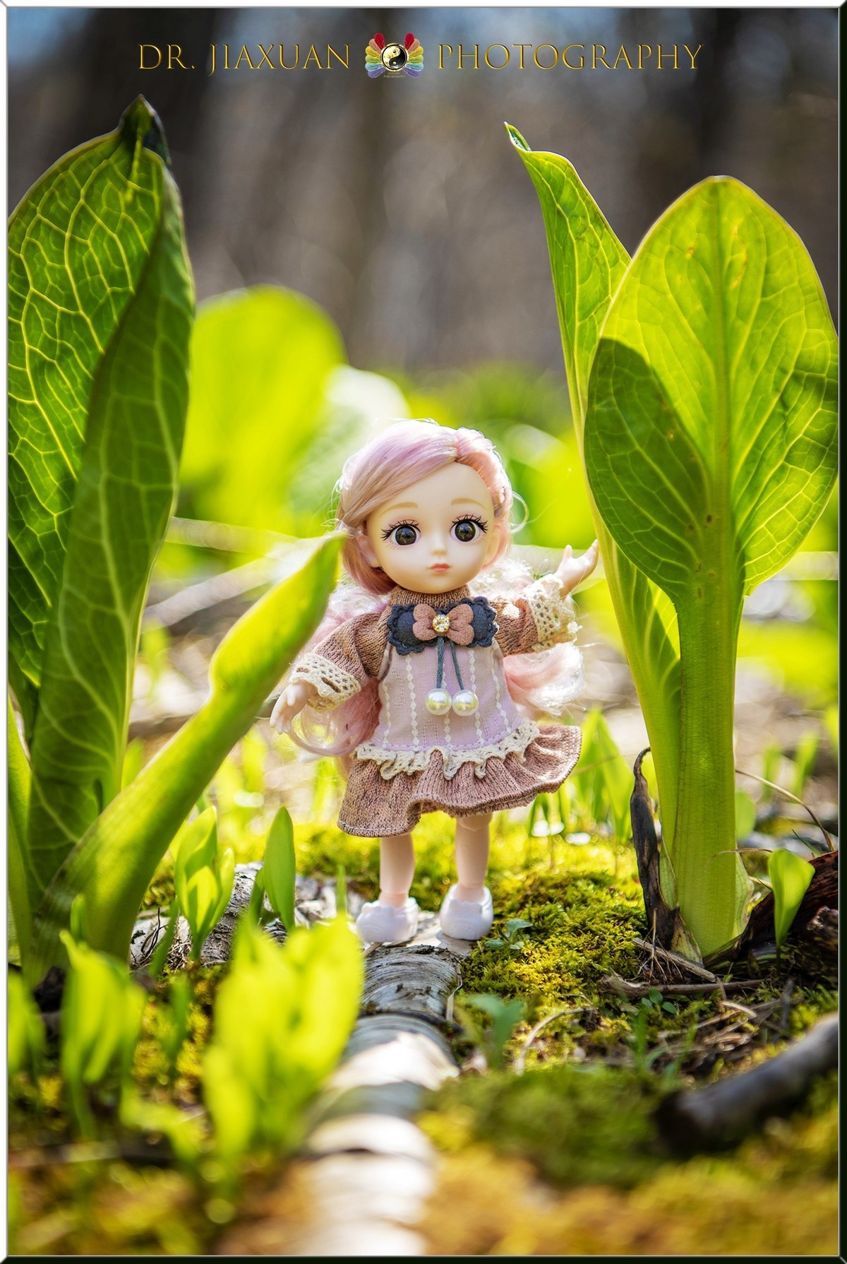 【稼轩摄影】玩偶之家-之三！