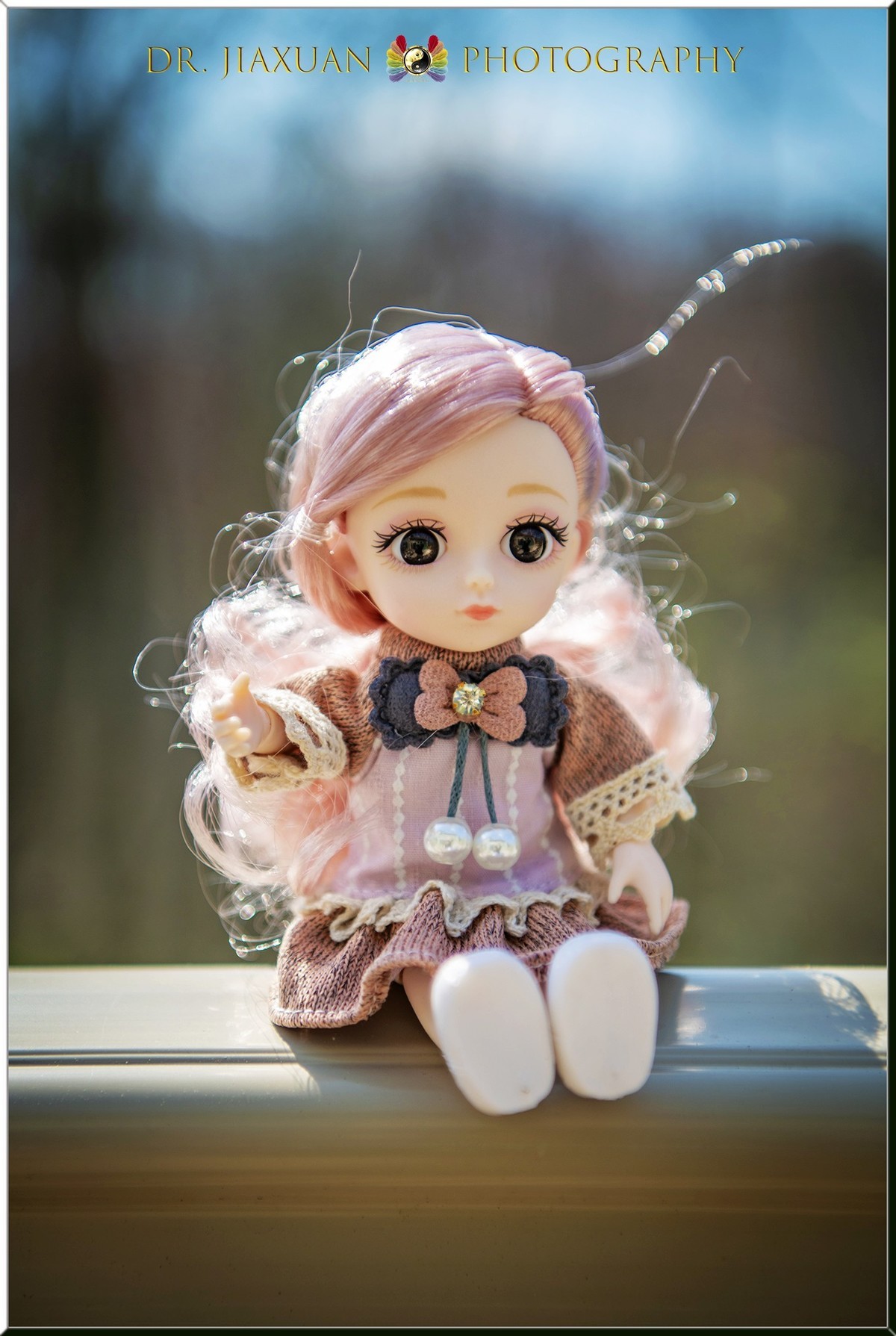 【稼轩摄影】玩偶之家-之三！