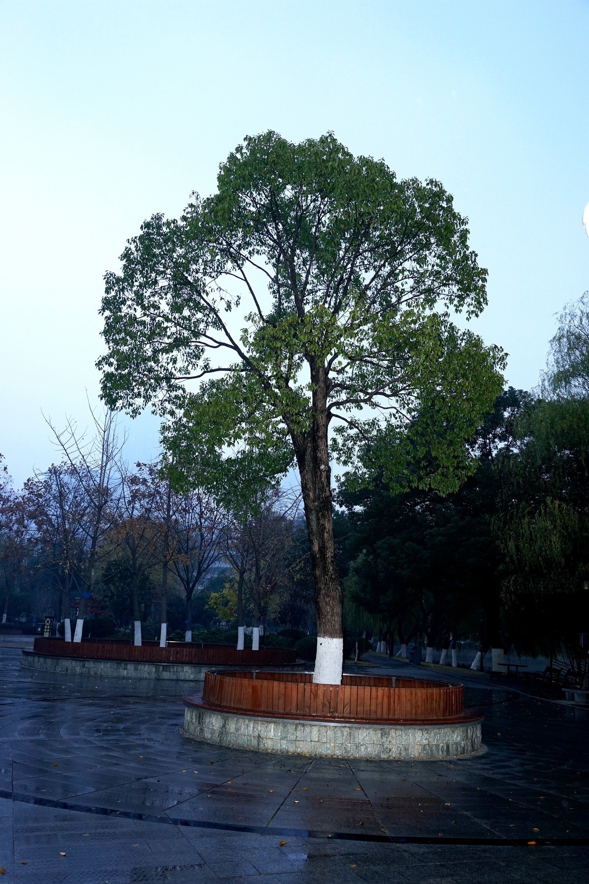 武汉印象---雨中的宝岛公园！