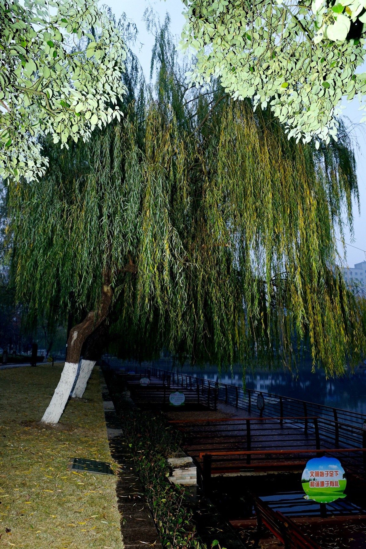 武汉印象---雨中的宝岛公园！