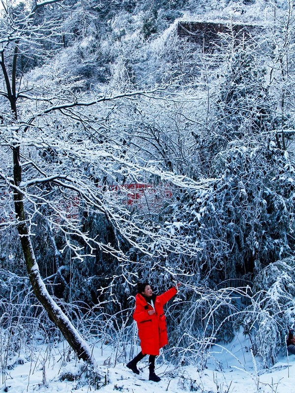 四川洪雅---探雪瓦屋山【4】