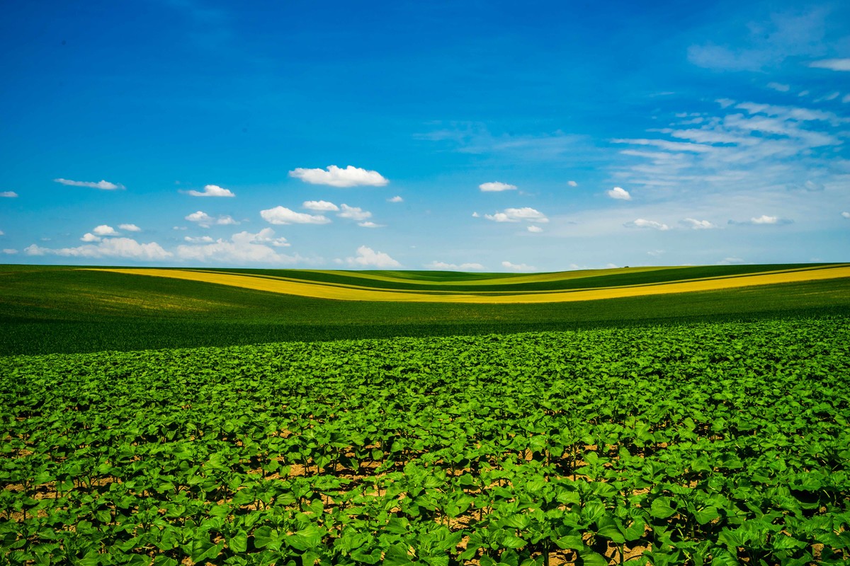 同个地方-不同时间