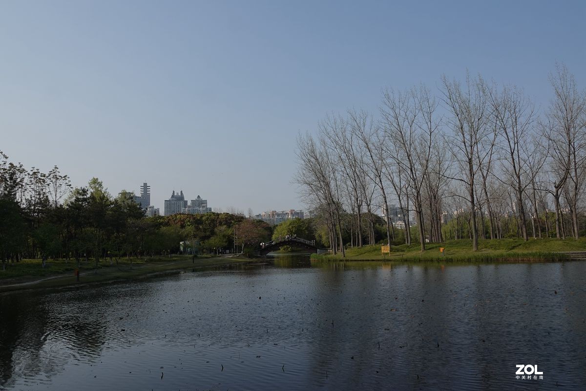 牛年第一贴——公园随拍