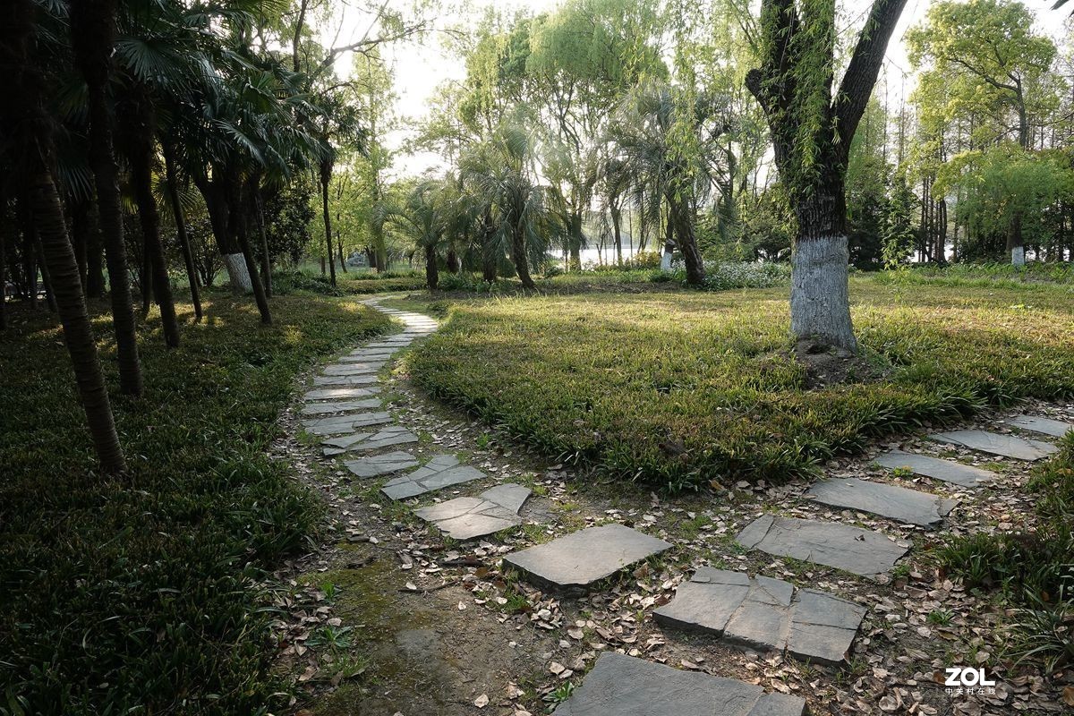 牛年第一贴——公园随拍