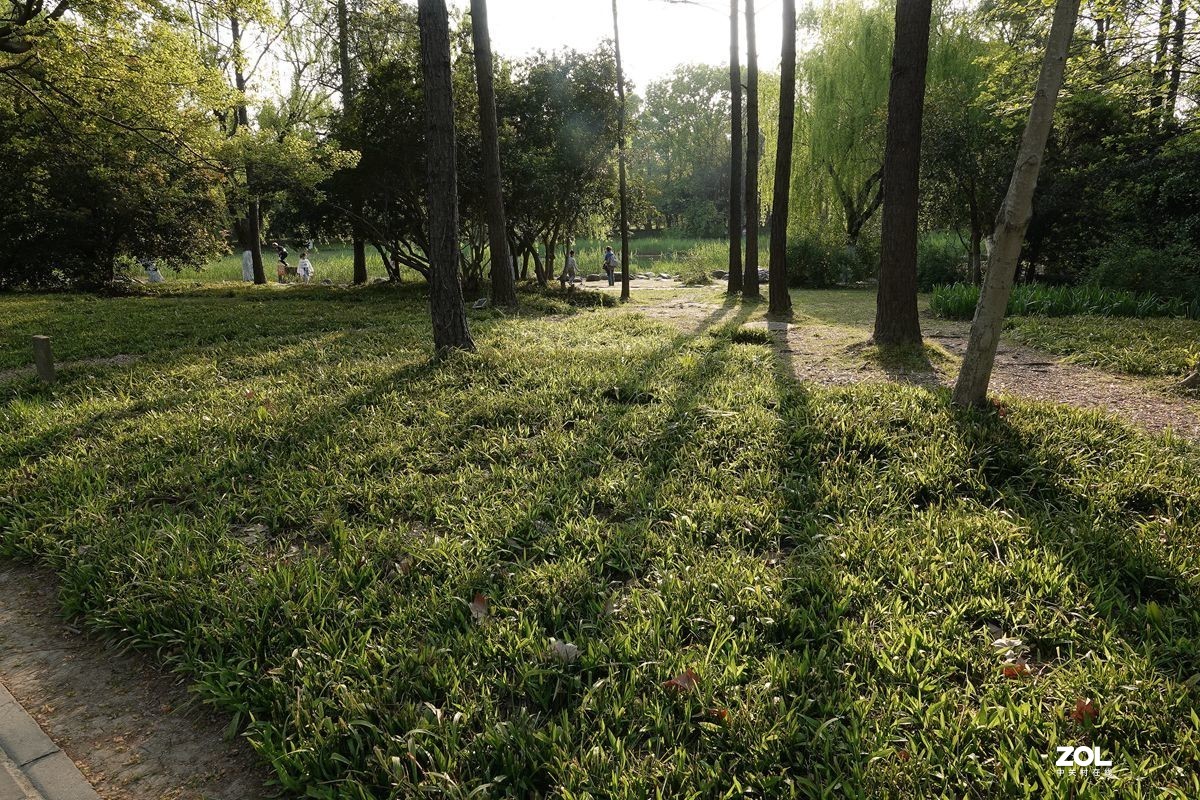 牛年第一贴——公园随拍