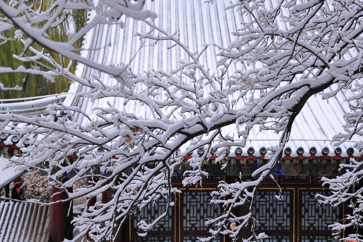 雪后颐和园