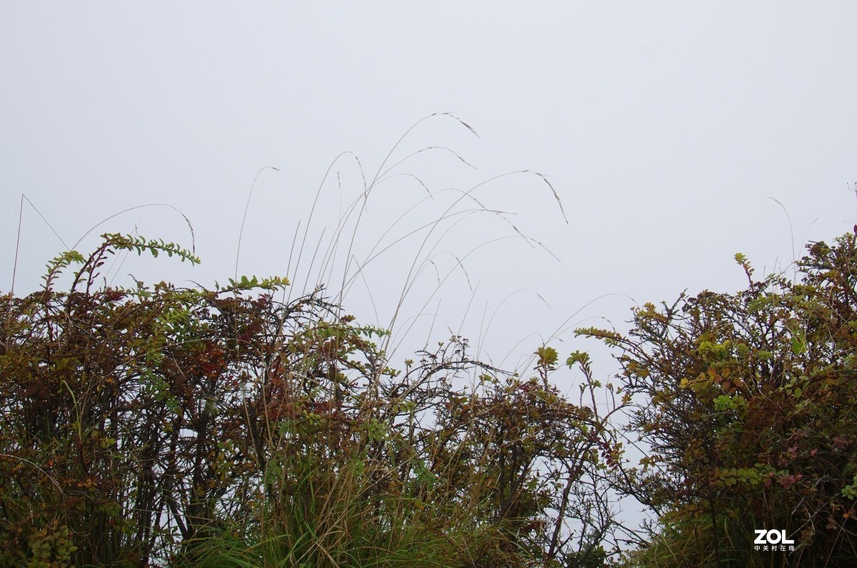 【峨嵋金顶】-20p