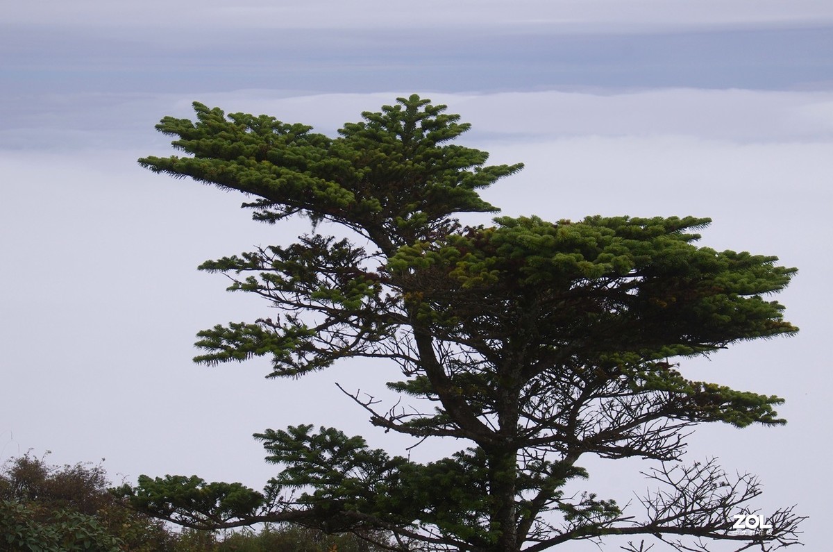 【峨嵋金顶】-20p