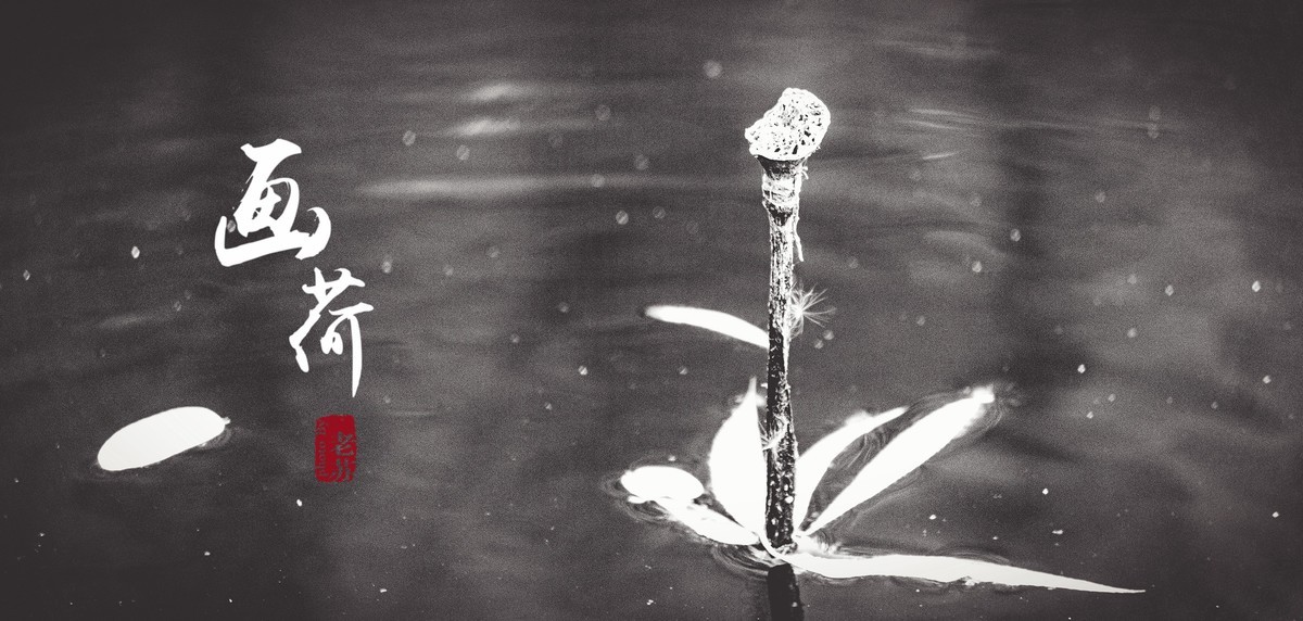 残荷-摄于天津北宁公园