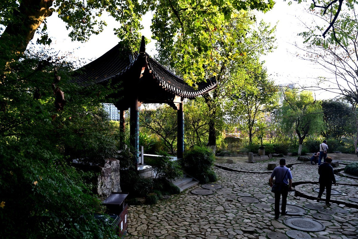 【家乡美】满园青郁夕照红——武汉随笔