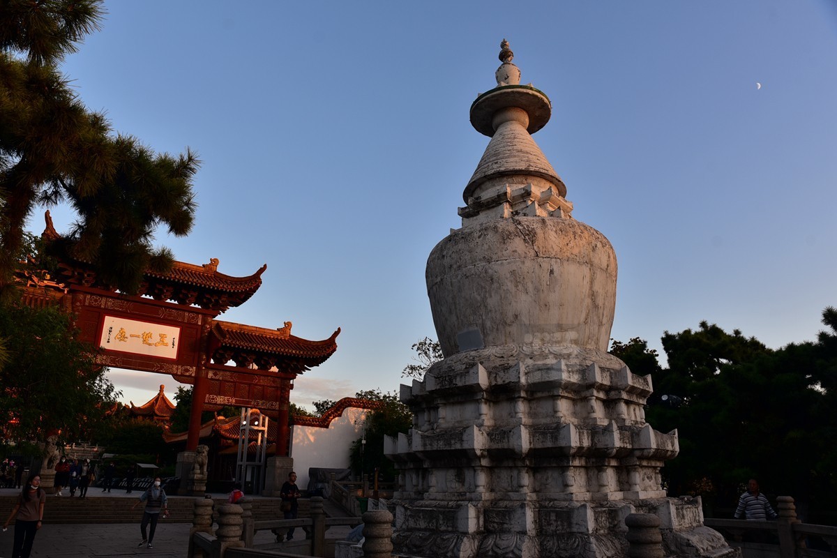 【家乡美】满园青郁夕照红——武汉随笔